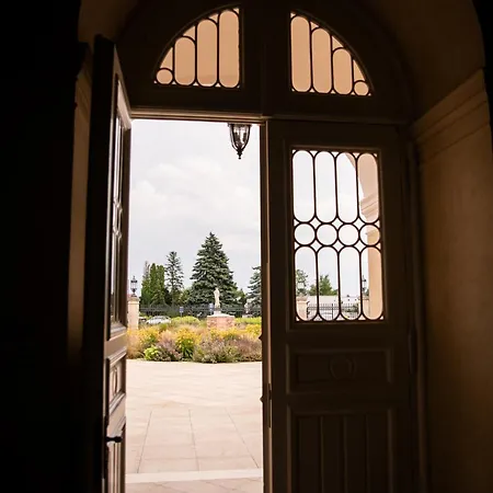 Goya Vitality 4* Voderady